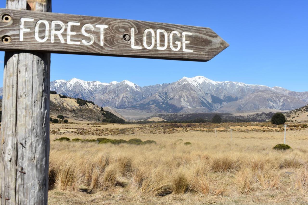 Forest Lodge Castle Hill Экстерьер фото